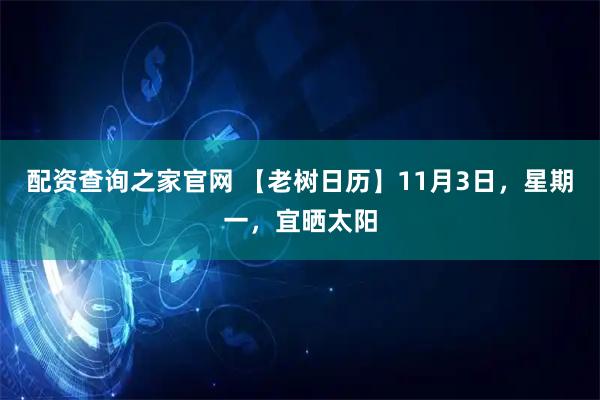 配资查询之家官网 【老树日历】11月3日，星期一，宜晒太阳